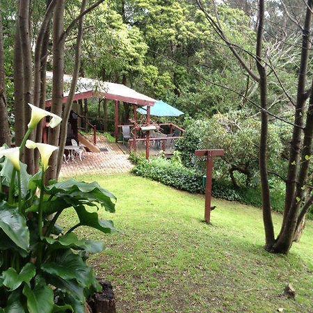 Stone'S Throw Cottage Bed And Breakfast Belgrave Exterior foto